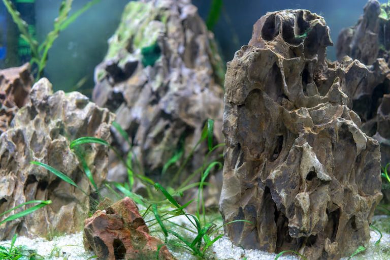 Best Rock For Freshwater Aquarium The Fish Keeping Aquarium Guide   Best Rock For Freshwater Aquarium 768x512 